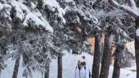 学生穿过雪树