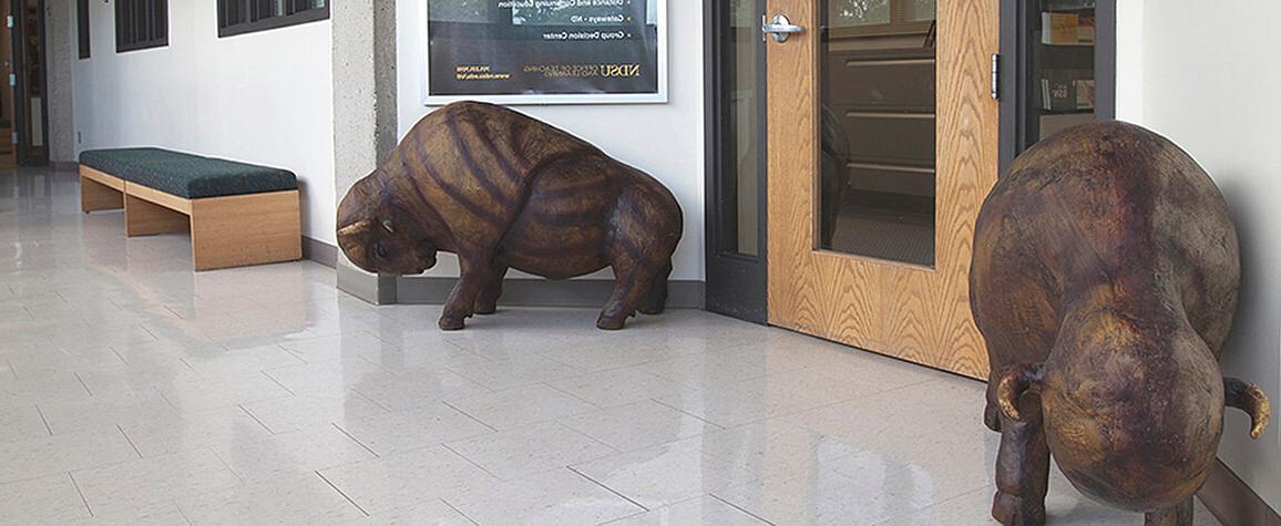 OTL办公室门前的野牛雕像